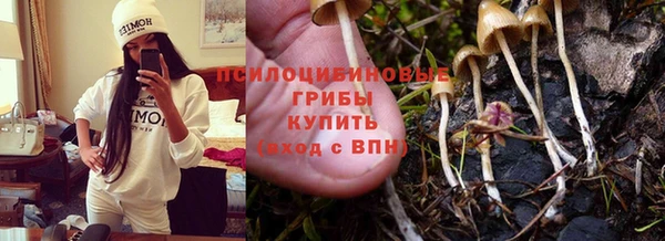 таблы Каменногорск